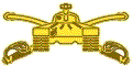 Armored Insignia