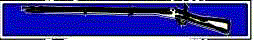 Expert Infantryman Badge