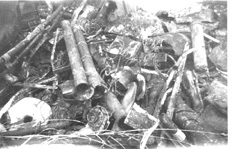 Ammo truck hit at Stein- 253d Inf