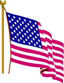 Flag of the  United States of America