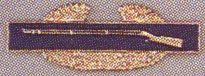 Combat Infantryman Badge Hat Pin