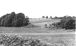 Dragon's Teeth at Siegfried Line
