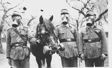 German troops and horse with gas masks