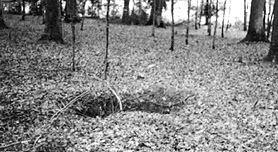 German machine gun nest Kocher River area