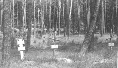 German cemetery