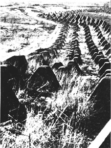Dragon Teeth near Ensheim