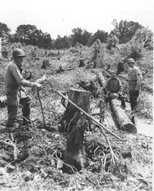 Bridge Building C/263d Engr