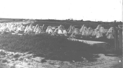 Dragons Teeth Siegfried line