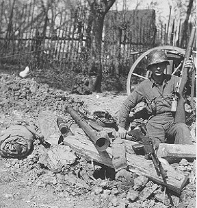 Miserendino B/255th Inf