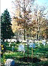 Plaque, marker and Tree, Arlington Cemetery