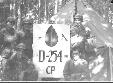 D/254th Bivouac CP Jun 45