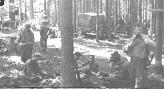 D Co 254th Inf on Bivouac- Jun 45