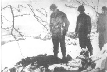Viewing the battle dead from The Battle of Jebsheim, Jan 45