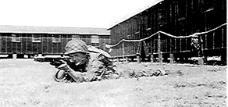 253d Inf Regt Cp Van Dorn, MS