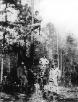 255th Inf Regt Cp Van Dorn, MS
