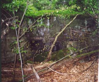 Bunker #11 near Ensheim