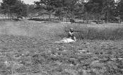 Darby and Aultz C/263d Engr during Bazooka training
