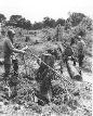 Bridge project C/263d Engr Camp Van Dorn