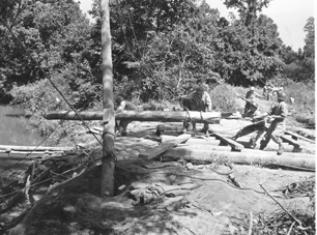 Bridge Building C/263d Engr