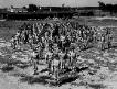 861st FA Bn Cp Van Dorn, MS