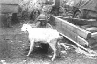 Jackson Hq Co 254th Inf Ensheim, Germany Mar 45