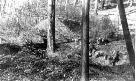 German Pillbox