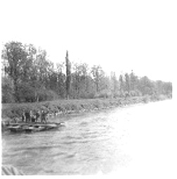 Pontoon bridge construction on Danube Apr 45