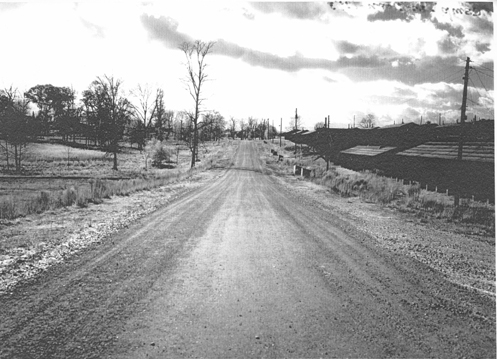 Typical Street Camp Van Dorn